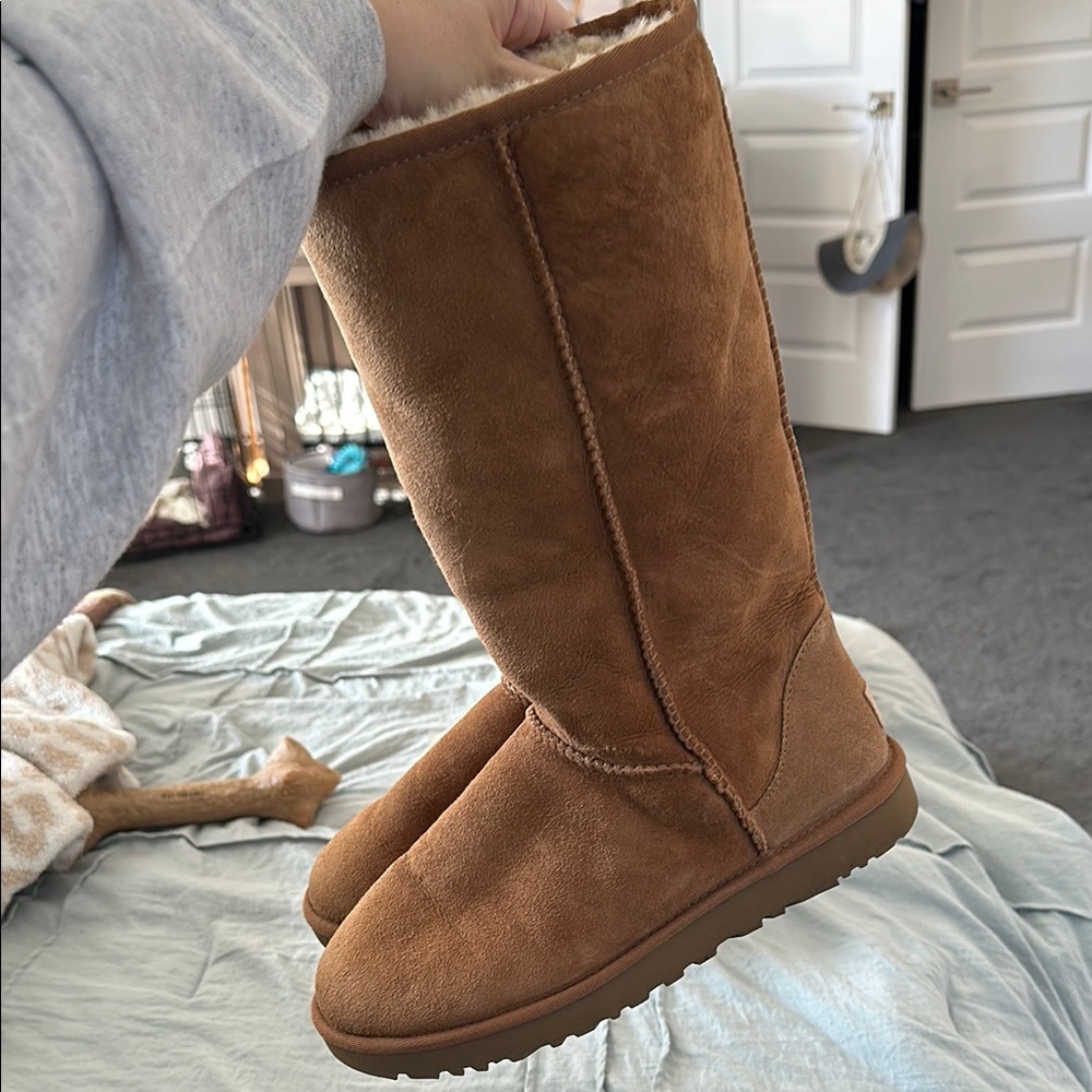 Tall Chestnut Uggs